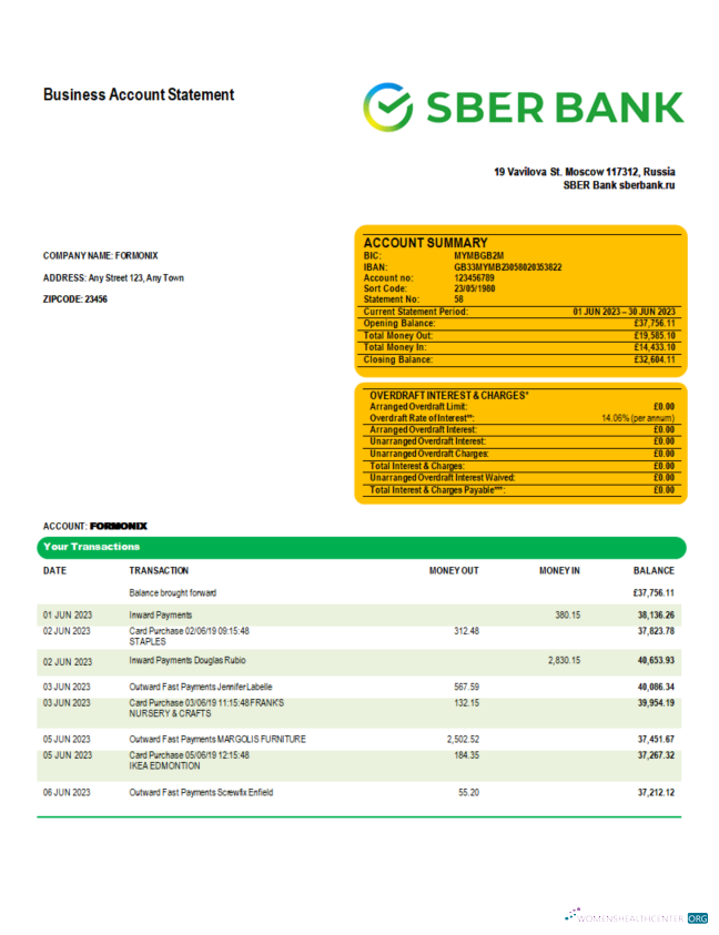 Download Sberbank Bank enterprise checking account statement Word and PDF template Photoshop template